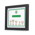 Celtic Framed Trophies