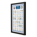 Chelsea Football Club Complete Trophy Collection
