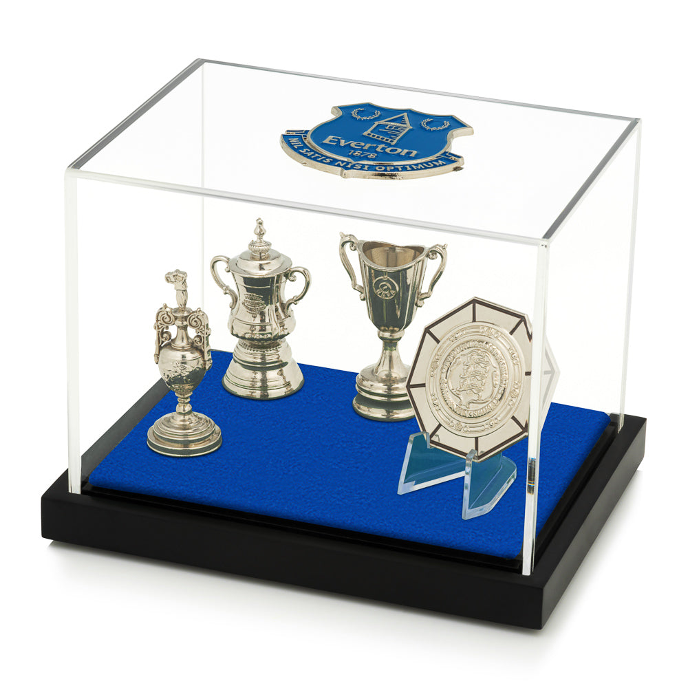 Everton Football Club Trophy Collection Display Case