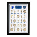 Everton FC Complete Trophy Collection