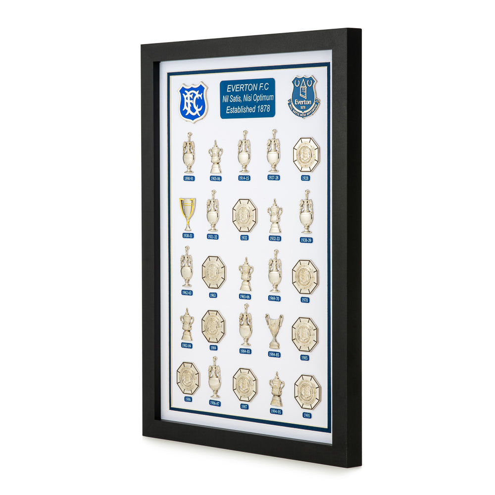 Everton FC Complete Trophy Collection