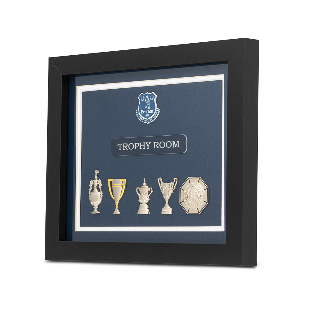 Everton Football Club Trophy Collection Wall Art
