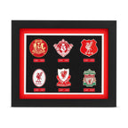 Liverpool Football Club Crest Display