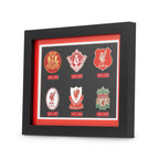 Liverpool Football Club Crest Display