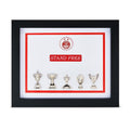 Aberdeen Framed Trophies