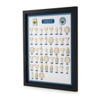 Manchester City Complete Trophy Collection