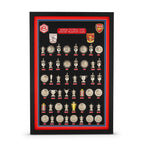 Arsenal Football Club Complete Trophy Collection
