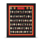 Machester United Theatre of Dreams Trophy Collection