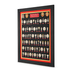 Machester United Theatre of Dreams Trophy Collection