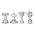 Collection of Scottish Trophies