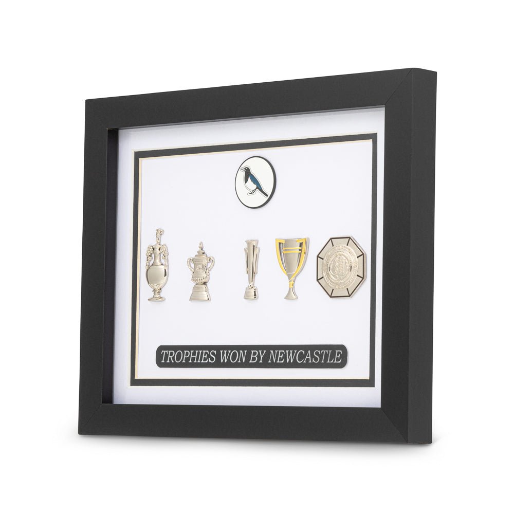 Newcastle United Trophy Collection Wall Art