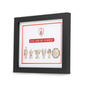 Nottingham Forest Trophy Collection Wall Art