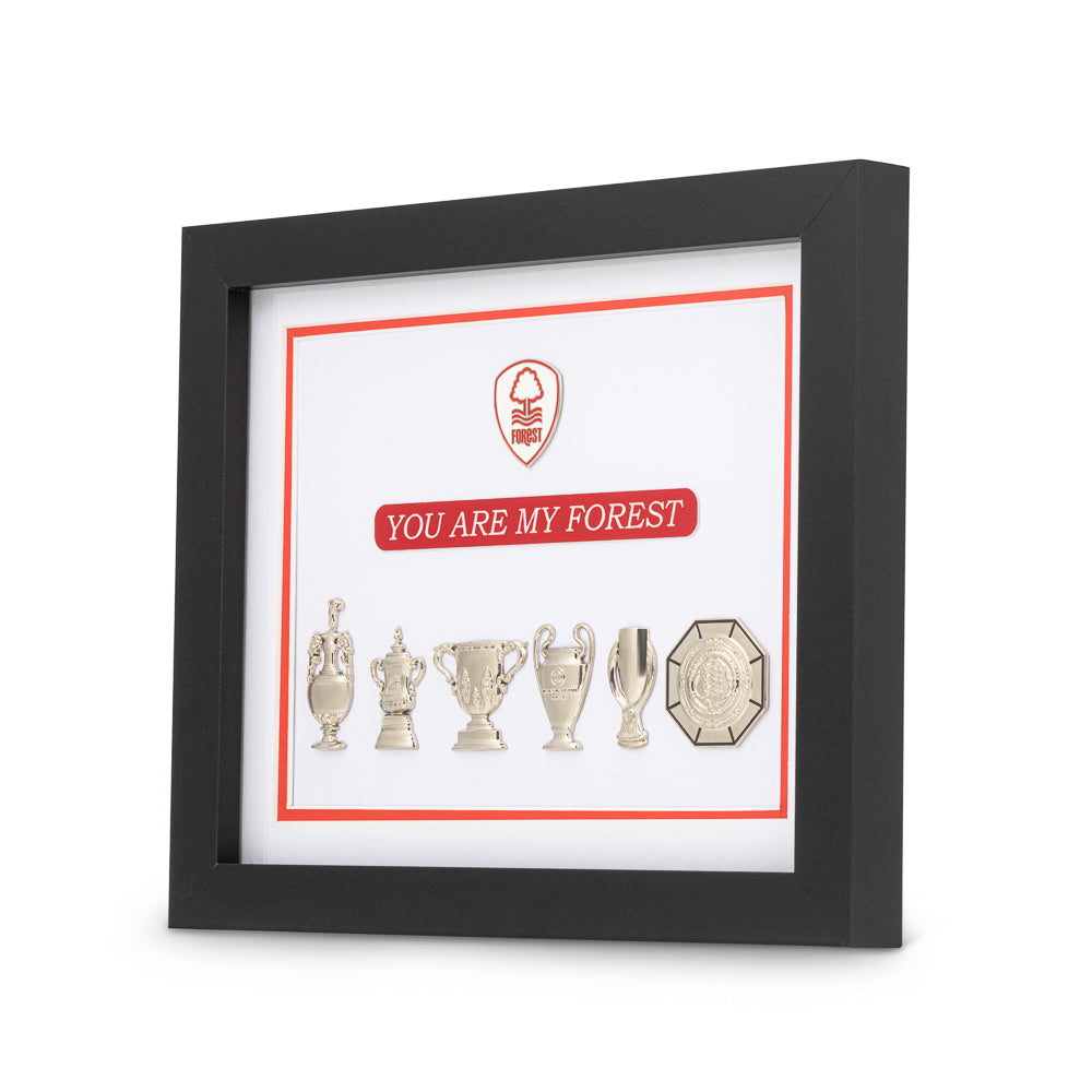 Nottingham Forest Trophy Collection Wall Art