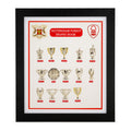 Nottingham Forest Complete Trophy Collection