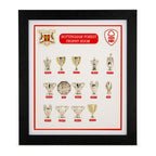 Nottingham Forest Complete Trophy Collection