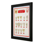 Nottingham Forest Complete Trophy Collection