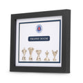 Rangers Football Club Framed Trophy Collection