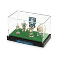 Sheffield Wednesday Trophy Collection Display Case