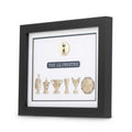 Tottenham Hotspur Framed Trophy Collection