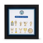Manchester City Trophy Collection Wall Art
