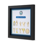 Manchester City Trophy Collection Wall Art