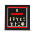 Liverpool Football Club Champions of Everything