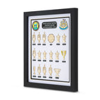 Newcastle United Complete Trophy Collection